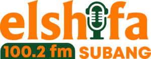 radio logo